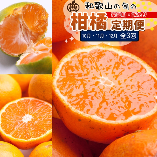 【定期便】家庭用 柑橘定期便 M 3回（10～12月）※北海道・沖縄・離島への配送不可※10月・11月・12月に発送 2240980 - 和歌山県美浜町