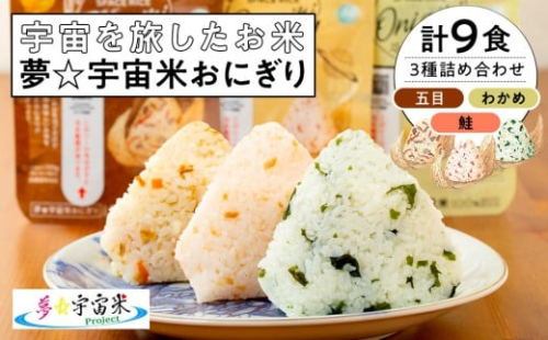 夢☆宇宙米おにぎり 3種類詰め合わせ（9食）【8月上旬より順次発送開始】 2241390 - 宮城県角田市