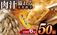 【定期便6回】タレ不要！！ 肉汁 溢れる『 玉名餃子 』 50個 | 餃子 ぎょうざ お手軽 小分け 冷凍 冷凍食品 おかず 豚肉 熊本県 玉名市