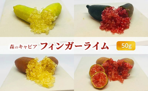フィンガーライム 50g 森のキャビア キャビアライム フルーツキャビア 2241536 - 岐阜県海津市