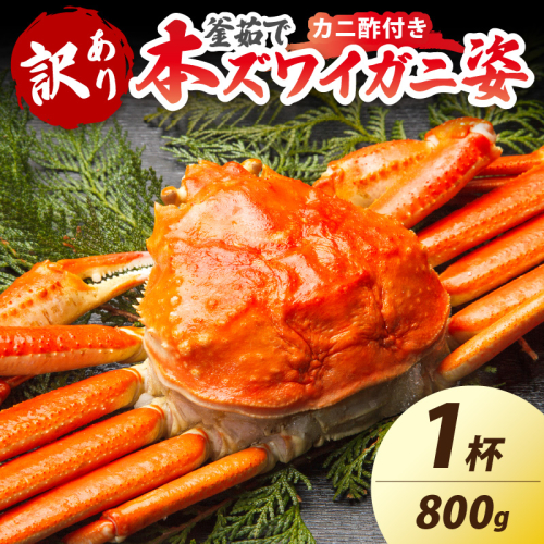 【大好評！カニ酢付き】訳あり！釜茹で！特大本ずわいがに姿 800g×1杯 2241686 - 京都府京丹後市
