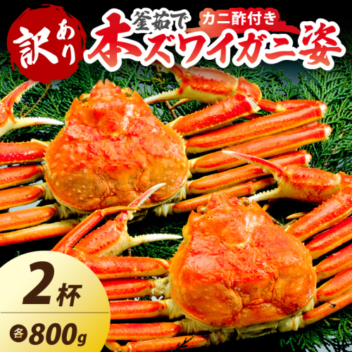 【大好評！カニ酢付き】訳あり！釜茹で！特大本ずわいがに姿 800g×2杯 2241687 - 京都府京丹後市
