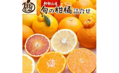 ［先行予約］厳選 柑橘詰合せ10kg+250g（傷み補償分）［有田の春みかん詰め合わせ・フルーツ詰め合せ・オレンジつめあわせ］［光センサー選別］［IKE260］ 2241784 - 和歌山県那智勝浦町