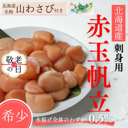 63-20 【敬老ギフト】【希少】お刺身用 赤帆立800g×2セット　｜北海道産　グルメ　海鮮丼 2241999 - 北海道紋別市