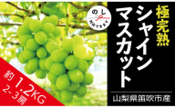 【2026年発送★先行予約】☆絶品☆ シャインマスカット 2-3房約1.2kg 090-004-26y  | シャインマスカット 発送 丸章青果 笛吹市 山梨 山梨県 種なし 完熟 フルーツ 果物 ぶどう 葡萄 シャインマスカット おすすめ 新鮮 贈答 ギフト 笛吹市 山梨  シャインマスカット 笛吹 葡萄 国産 ぶどう 人気 国産 高級 くだもの ランキング