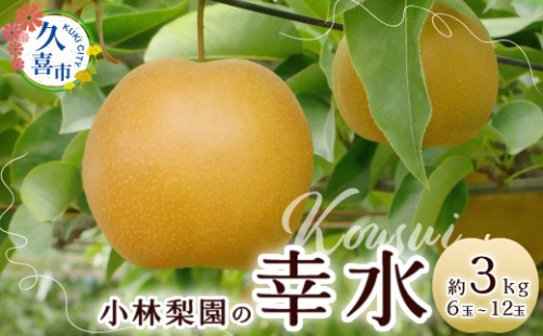 梨 幸水 約3kg 先行予約 数量限定 | 梨 なし 幸水 先行予約 数量限定 フルーツ 果物 和梨 産地直送 限定品 贈り物 新鮮 お取り寄せ デザート ギフト 風味豊か 香り 上品 甘い 限定 果樹 旬 ジューシー みずみずしい 高糖度 季節のフルーツ 小林梨園 埼玉県 久喜市