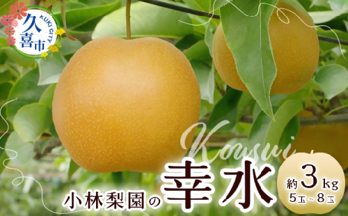 【先行予約 数量限定】梨 幸水 約3kg 5玉～8玉【埼玉県 久喜市 菖蒲 小林梨園 梨 フルーツ 高級 産地直送 限定品 贈り物 新鮮 お取り寄せ デザート ギフト 風味豊か 赤梨 大玉 香り 上品 希少価値 珍しい 地域 甘い 限定 果物 果樹 幸水 梨 なし 果物 フルーツ 埼玉県 久喜市 菖蒲 和梨】