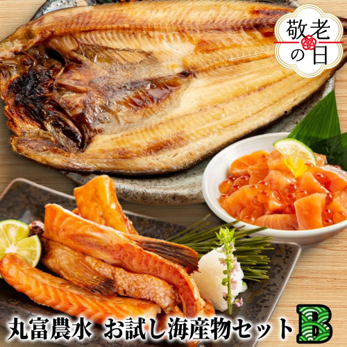11-210 【敬老ギフト】丸富農水お試し海産物セットＢ 2242122 - 北海道紋別市