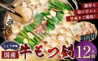 【12月発送】 国産牛もつ鍋 12人前 ちゃんぽん 濃縮スープ付（醤油味） もつ ホルモン 鍋 お鍋 セット 冷凍 岡垣町
