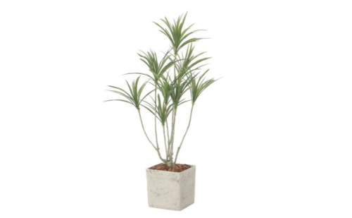 光の楽園 インテリアドラセナ1.4（ポリ製）【配送不可：北海道・沖縄・離島】 インテリア 光触媒 人工植物 造花 フェイクグリーン 花 フラワー 清浄 消臭 浜松市 2242475 - 静岡県浜松市