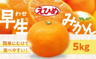 【先行予約】【11月中旬から順次発送】温州みかん（早生）　5kg　愛媛県大洲市/永沼農園 果物 フルーツ 愛媛みかん [AGAW016] 先行予約 みかん ミカン 蜜柑 温州ミカン 温州みかん 果物 くだもの フルーツ 愛媛県産 大洲市産 産地直送 おすすめ 人気 お取り寄せ 送料無料 贈答 ギフト