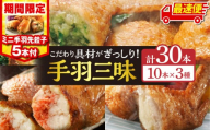 【最速便】【期間・数量限定】手羽先3種セット(手羽先餃子・手羽先明太・手羽先チーズ)各10本入り・手羽先餃子(小サイズ5本)_M025-001-02-B-2W