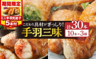 【2025年12月発送】【期間・数量限定】手羽先3種セット(手羽先餃子・手羽先明太・手羽先チーズ)各10本入り・手羽先餃子(小サイズ5本)_M025-001-02-B-dec