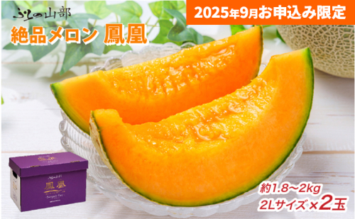 【9月限定特別価格★】ふらの山部の絶品メロン『鳳凰』 2L（1.8～2kg）×2玉（坂口農産）メロン フルーツ 果物 新鮮 甘い 贈り物 ギフト 道産 ジューシー おやつ ふらの ブランド 夏 2242873 - 北海道富良野市