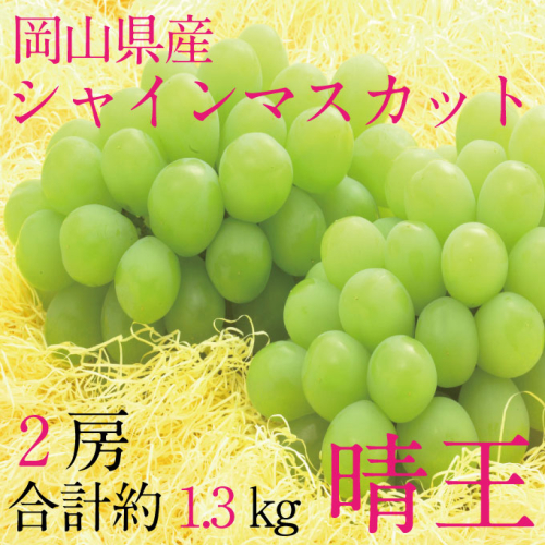 [HS] ぶどう 2025年 先行予約 9月・10月発送 シャインマスカット 晴王 2房（合計約1.3kg） ブドウ 葡萄 岡山県産 国産 フルーツ 果物 ギフト 2243078 - 岡山県瀬戸内市