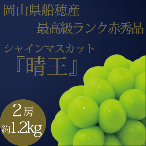 [HS] ぶどう 2025年 先行予約 9月・10月発送 最高級品 シャインマスカット 晴王 2房 約1.2kg ブドウ 葡萄 岡山県産 船穂産 フルーツ 果物 ギフト 2243083 - 岡山県瀬戸内市