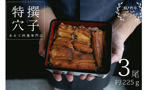 穴子 焼き穴子 3尾入 225g 蒲焼き 小分け 真空パック 厳選 特選 不揃い 小ぶり 魚貝類 魚介類 おかず 和食 魚料理 青島 冷蔵 冷蔵配送 岡山 岡山県 瀬戸内市 2243085 - 岡山県瀬戸内市