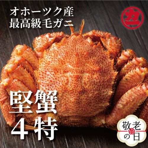 19-81 【敬老ギフト】ボイル毛がに(約440g～570g)×1尾 2243202 - 北海道紋別市