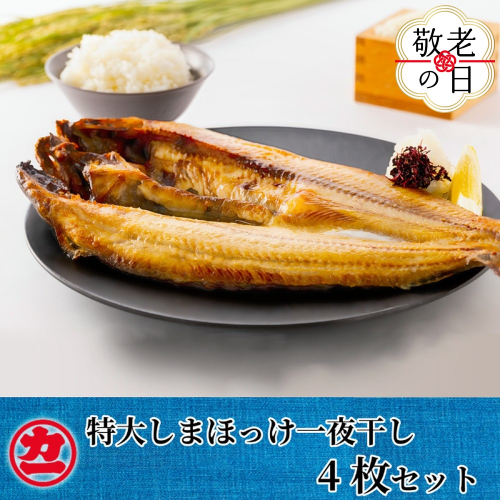 15-341 【敬老ギフト】脂の乗った特大しまほっけの一夜干し4枚セット 2243209 - 北海道紋別市