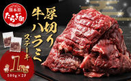 2月発送【 厚切り 】牛 ハラミステーキ【1㎏】500ｇ×2 焼肉 ハラミ 焼き肉 はらみ 塩味 牛肉 肉 冷凍 小分け パック キャンプ バーベキュー 067-0671-02