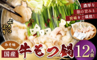 【3月発送】 国産牛もつ鍋 12人前 ちゃんぽん 濃縮スープ付（みそ味） もつ ホルモン 鍋 お鍋 セット 冷凍 岡垣町