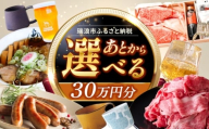 【あとから選べる】 岐阜県瑞浪市ふるさとギフト 30万円分 [AZDD012]