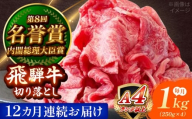 【12回定期便】 飛騨牛 切り落とし 1kg (250g×4) 瑞浪市 / 肉のひぐち [AZDE020]