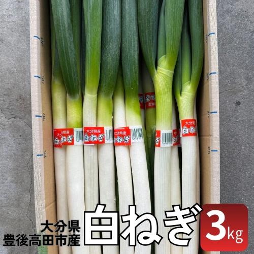 【先行予約】 甘くて美味しい 白ねぎ 3kg 2243613 - 大分県豊後高田市