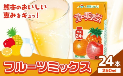 常温保存可能 フルーツミックス 250ml×24本 合同会社たべたせいか《30日以内に出荷予定(土日祝除く)》熊本県 菊池市 ミックスジュース らくのうマザーズ フルーツ牛乳 フルーツ ジュース 紙パック ジュース ドリンク 2244516 - 熊本県菊池市