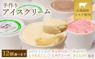 北海道産 南幌町 手作りアイスクリーム 120ml×12個セット (お好み詰め合わせ) NP1-024