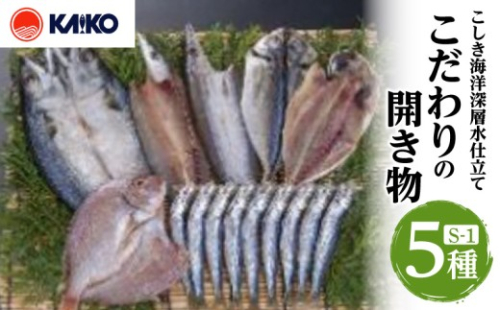 こしき海洋深層水仕立て こだわりの開き物 S-1　K065-007_01