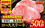 【最速便(10日以内に発送)】【期間・数量限定】畜産農家応援！宮崎牛ロースステーキ250g×2・国産牛ハンバーグ100g×2個_M132-014-B2-10d