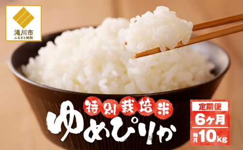 【先行予約】令和7年産米 北海道滝川産 特別栽培ゆめぴりか 10kg 6ヵ月連続 ※10月中旬・新米からお届け｜北海道 滝川市 米 お米 白米 精米 ゆめぴりか ユメピリカ 特別栽培 定期便 連続お届け 2245442 - 北海道滝川市