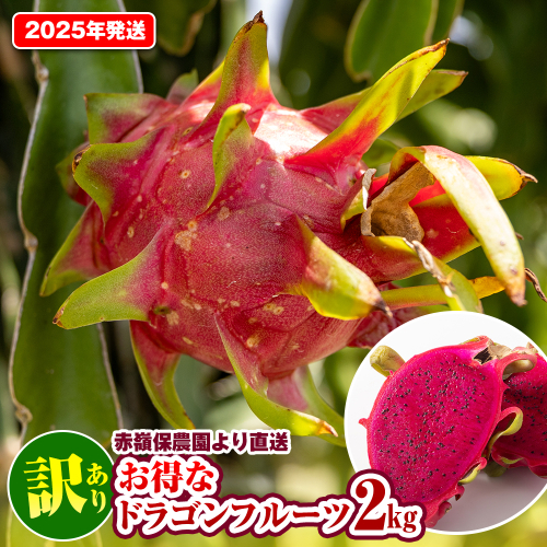 【2025年発送】訳あり　赤嶺保農園より直送　お得なドラゴンフルーツ2kg 2245670 - 沖縄県南風原町