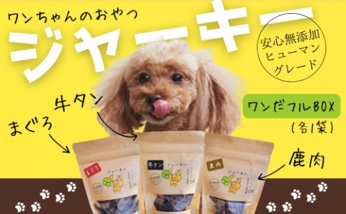 ワンちゃんのギフト  ワンだフルBOX ～ジャーキー三種セット～ こぐま商店 河内長野 ペットフード ドッグフード ジャーキー 小型犬 中型犬 大型犬 犬用 いぬ ペット 2245671 - 大阪府河内長野市