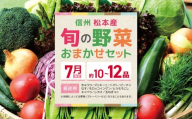 【7月発送】【先行受付：2026年発送】信州松本産・旬の野菜 おまかせセット（約10～12品） │野菜 やさい 旬 旬の野菜 新鮮 自然 セット 野菜セット 美味しい 長野県 信州 松本 ふるさと納税