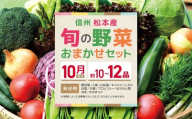 [10月発送]信州松本産・旬の野菜 おまかせセット(約10〜12品) │野菜 やさい 旬 旬の野菜 新鮮 自然 セット 野菜セット 美味しい 長野県 信州 松本 ふるさと納税