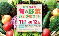 【11月発送】信州松本産・旬の野菜 おまかせセット（約10～12品） │野菜 やさい 旬 旬の野菜 新鮮 自然 セット 野菜セット 美味しい 長野県 信州 松本 ふるさと納税