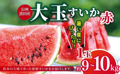 【先行受付：2026年発送】信州波田産　大玉すいか（赤） 1玉 (約９～１０kg) │ すいか スイカ 大玉 野菜 夏 果物 新鮮 自然 甘い 美味しい 波田 長野県 信州 松本 ふるさと納税 2245724 - 長野県松本市