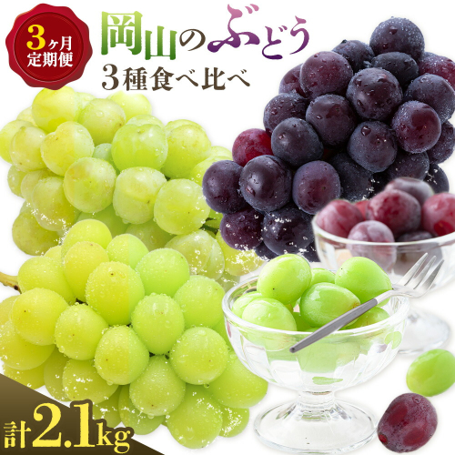 【2026年発送先行予約】ぶどう 3ヶ月 定期便 岡山 の ぶどう 3種 食べ比べ 各700g 計2.1kg 晴れの国おかやま館(漂流岡山)《2026年8月中旬-10月中旬頃出荷》岡山県 笠岡市 桃太郎ぶどう シャインマスカット ピオーネ 果物 フルーツ 送料無料【配送不可地域あり】（離島） 2245841 - 岡山県笠岡市