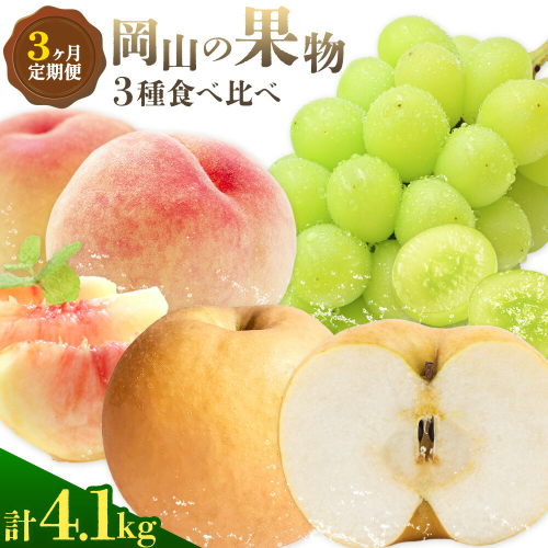 【2026年発送先行予約】ぶどう 桃 梨 3ヶ月 定期便 岡山 の 果物 3種 食べ比べ 計4.1kg 晴れの国おかやま館(漂流岡山)《2026年7月上旬-11月下旬頃出荷》岡山県 笠岡市 桃 もも マスカット シャインマスカット 梨 あたご梨 果物【配送不可地域あり】（離島） 2245842 - 岡山県笠岡市
