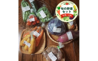 旬の野菜セット（年間/12回）【 神奈川県 大磯町 季節野菜セット 新鮮野菜】