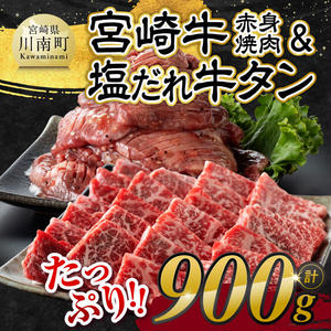 ※発送時期が選べる※宮崎牛赤身焼肉＆塩だれ牛タン　計900g 【 肉 宮崎牛 赤身 牛肉 牛たん たん 厚切り 塩ダレ 塩だれ タン 味付き BBQ 焼肉 焼き肉 焼くだけ おかず 簡単調理 】 2246130 - 宮崎県川南町