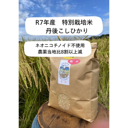 【先行予約】令和7年産 丹後こしひかり 玄米5kg【特別栽培米】新米 2246147 - 京都府京丹後市