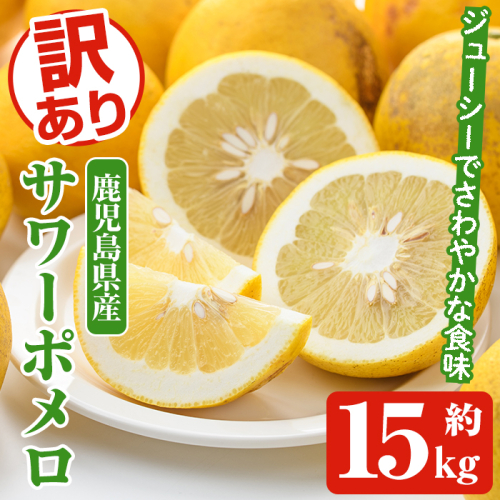 ＜先行予約受付中！2026年1月以降順次発送予定＞訳ありサワーポメロ(約15kg) 国産 果物 フルーツ 柑橘 甘味 酸味 デザート おやつ【松永青果】akn053-44 2246152 - 鹿児島県阿久根市