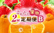 とれたて果物 2回定期便B 果物 フルーツ 果物定期便 フルーツ定期便 定期便 いちご デコポン濃厚 旬の果物 定期 人気 おすすめ 贈答 贈り物 青果物 糖度 香川県 _mk165-t052