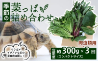 [爬虫類用][定期便3回] 季節の葉っぱ詰め合わせ セット 約 300g コンパクトサイズ ( 定期便 3カ月 草食 雑食 爬虫類 動物 ペットフード ペット リクガメ カメ イグアナ ごはん ご飯 おやつ 野菜 葉 葉野菜 旬 栄養 安心 新鮮 きよしファーム 南丹市 京都府 京都 )