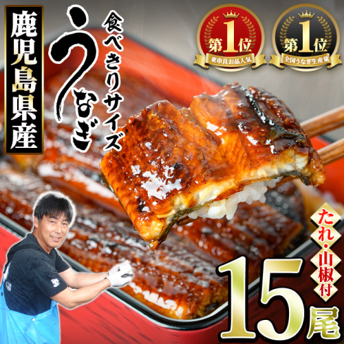 【0554327a】＜食べきりサイズ！＞東串良町のうなぎ蒲焼(無頭)(15尾・計1500g・タレ、山椒付) うなぎ 高級 ウナギ 鰻 国産 蒲焼 蒲焼き たれ 鹿児島 ふるさと 人気 【アクアおおすみ】 2248067 - 鹿児島県東串良町
