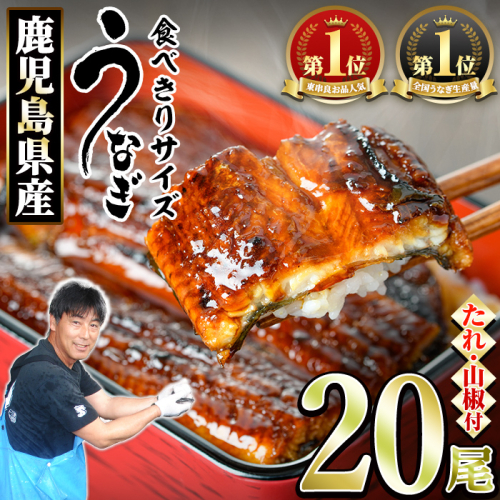 【0734328a】＜食べきりサイズ！＞東串良町のうなぎ蒲焼(無頭)(20尾・計2000g・タレ、山椒付) うなぎ 高級 ウナギ 鰻 国産 蒲焼 蒲焼き たれ 鹿児島 ふるさと 人気 【アクアおおすみ】 2248069 - 鹿児島県東串良町