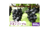 中央アルプス山麓のナガノパープル　800g【1657913】